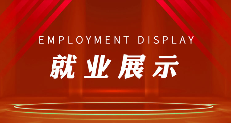 就业展示